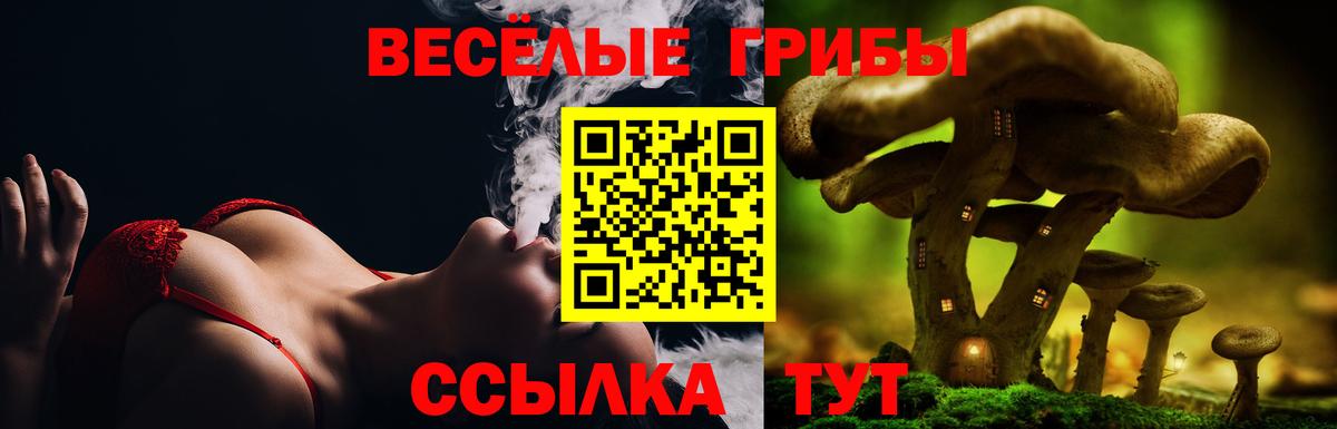 Коряжма  Псилоцибиновые грибы MAGIC MUSHROOMS  где можно купить наркотик  Вход с VPN 